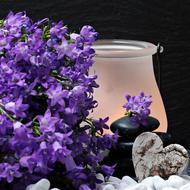 Purple Flowers and Stones