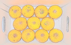 background orange orange background