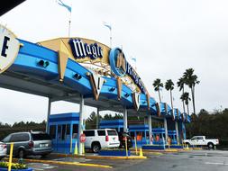 Universal Studios Travel