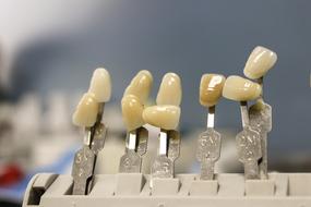 Tooth Dentist model care