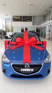 Gift Bow Car