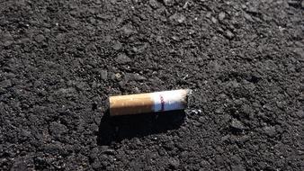 Cigarette Butt on Pavement Road