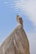 Marble Sculpture of Woman dress