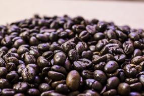 coffee roasting