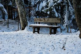 snowy time at the pew