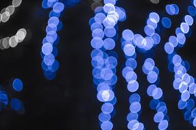 blue Christmas Lights on Tree at ight, bokeh