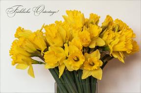 nature flowers bouquet spring