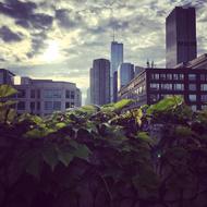 city in the sunlight landscape