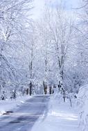 Winter Road Snow