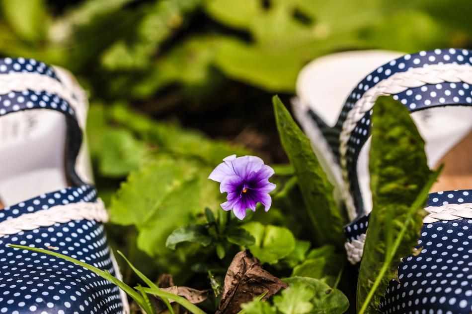 flower shoe grass
