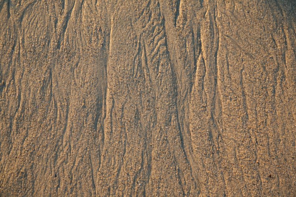 Seashore with the sand with traces