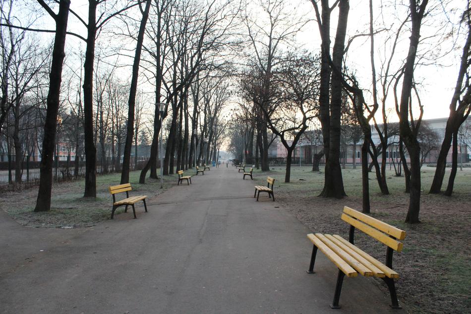 Wood Tree Bench