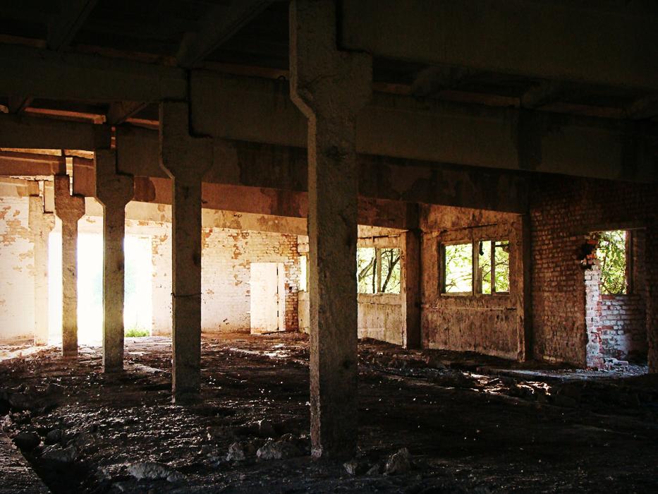 The Abandoned House Building columns