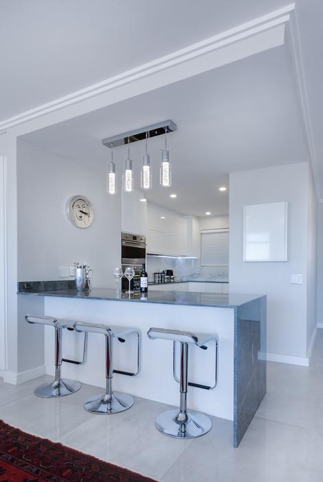 Modern Minimalist Kitchen