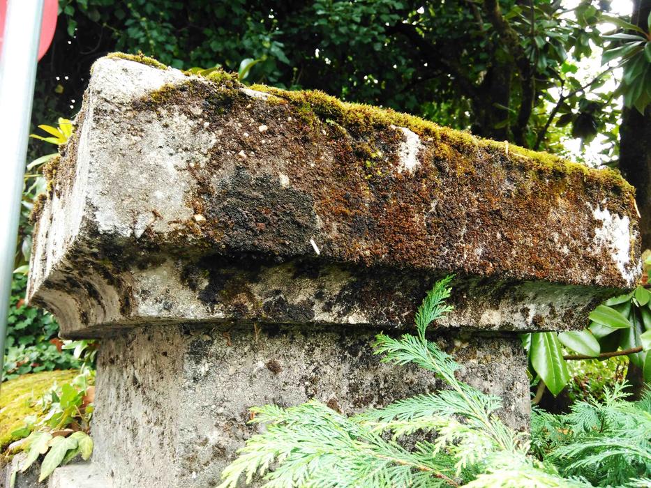 a big wall with moss in the rocks