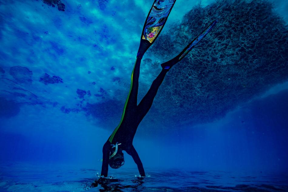 Underwater Waters Marine