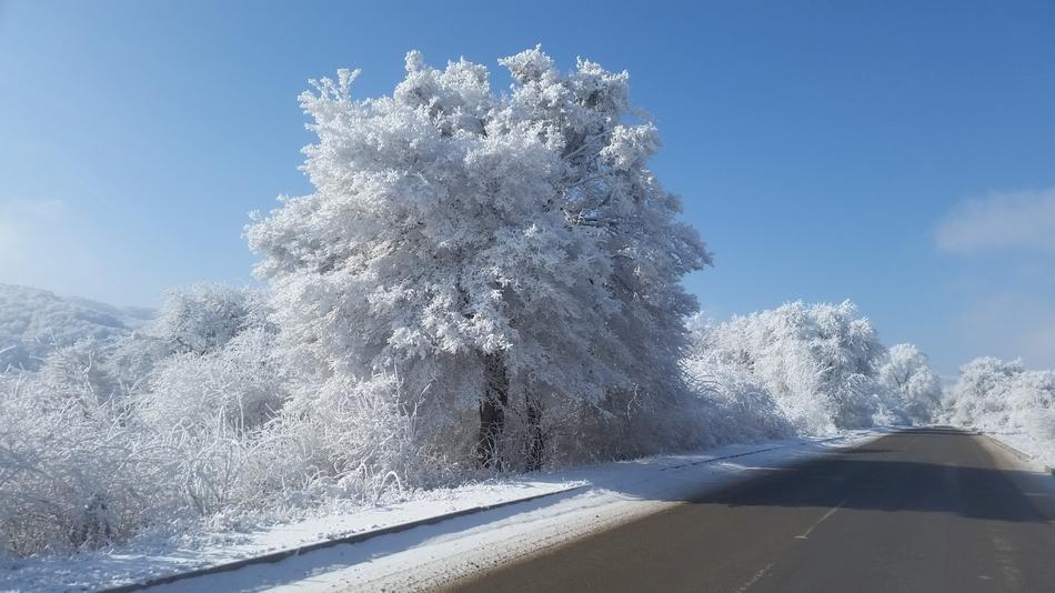 Winter Road