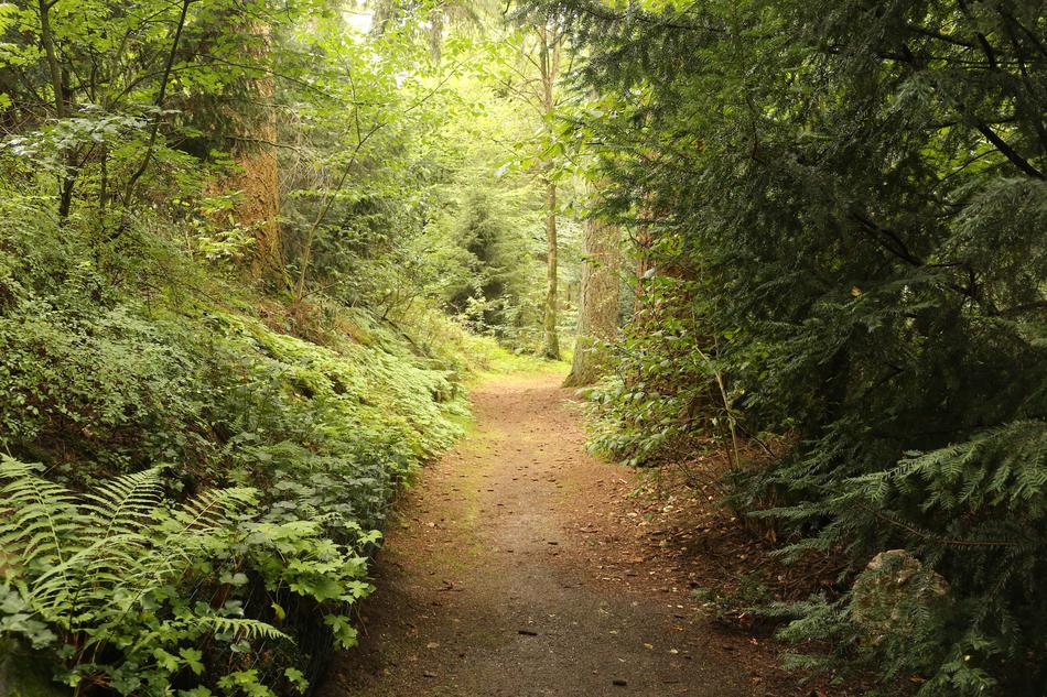Path Way Light