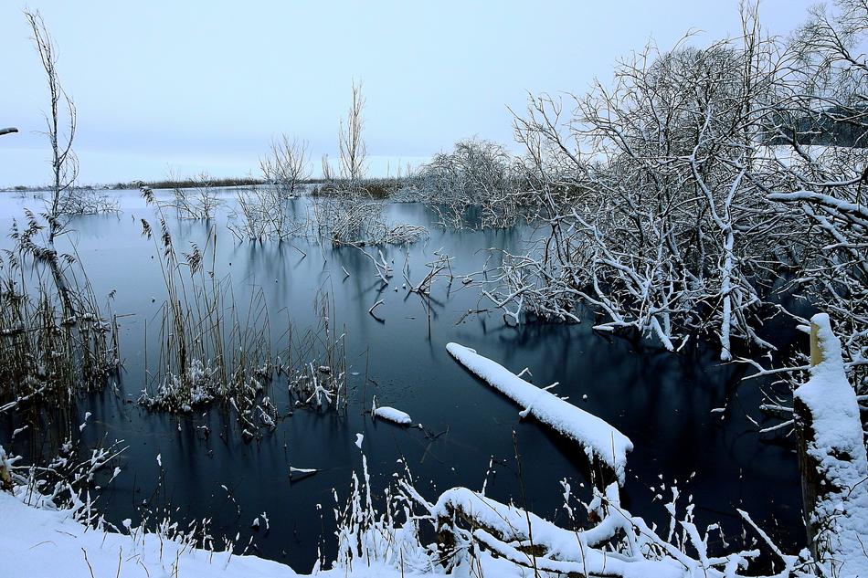 snowy season by the lake