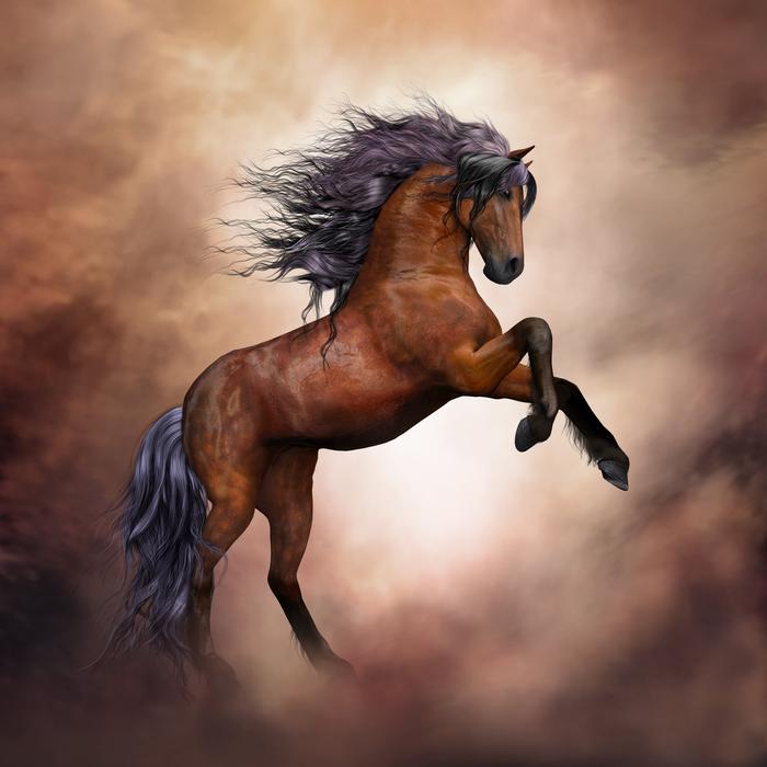 Wild Horse Fantasy art