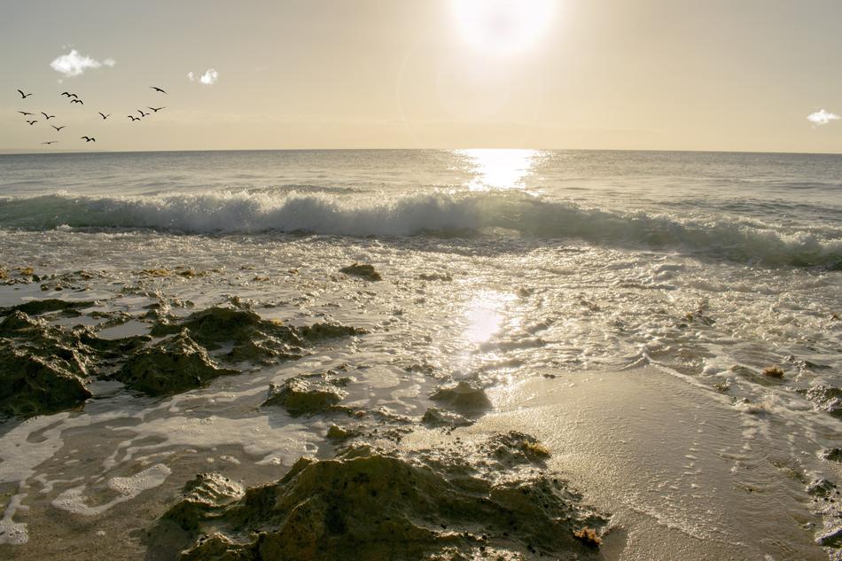 Sea Water Seashore
