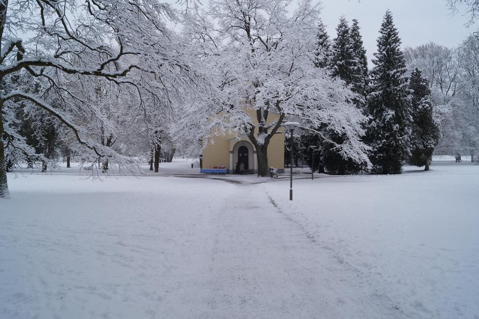 Snow Winter Cold