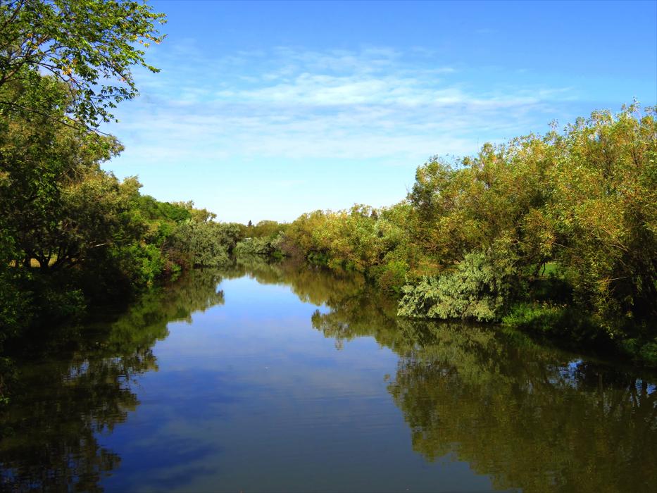 green river with trees landscape