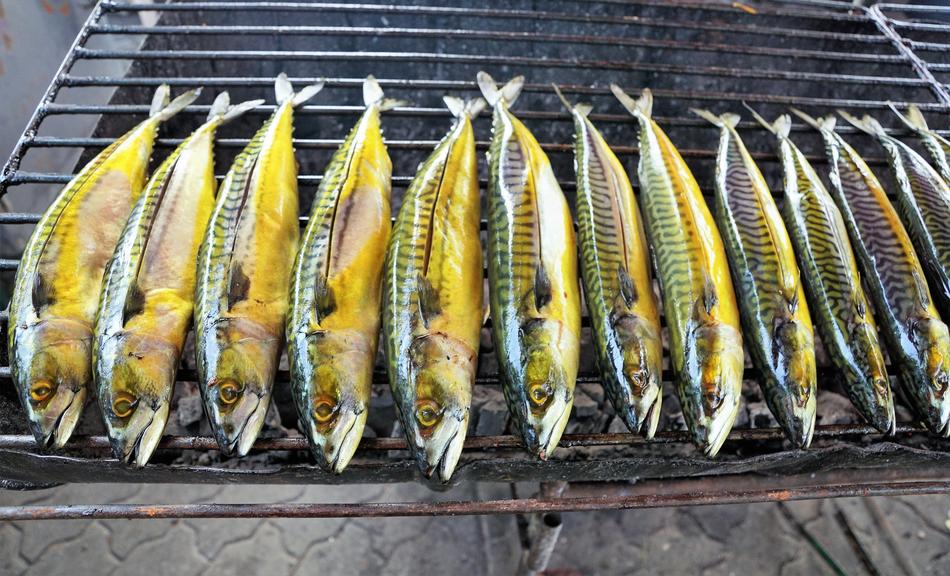 grilled mackerel
