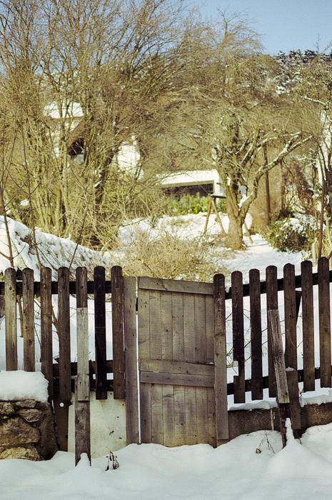 the fence at grandma's house