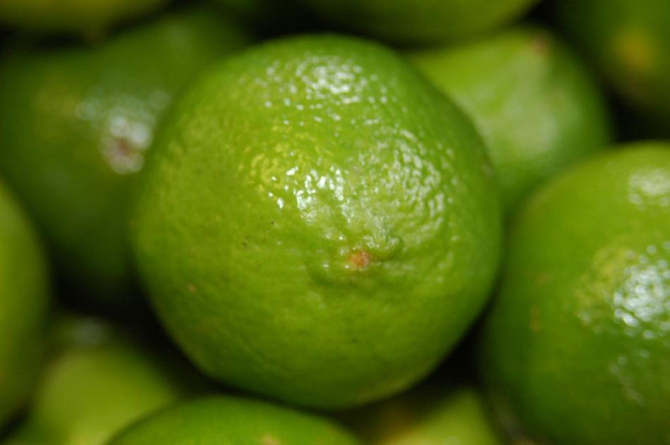 tropical green limes
