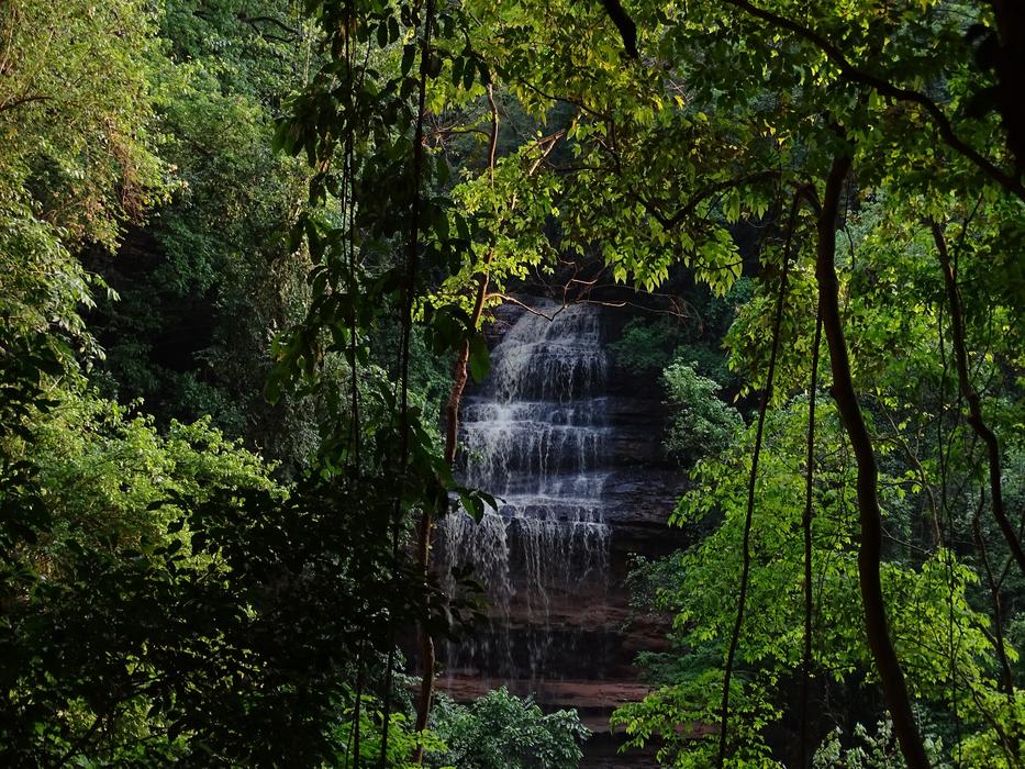 waterfall hidden in the forest