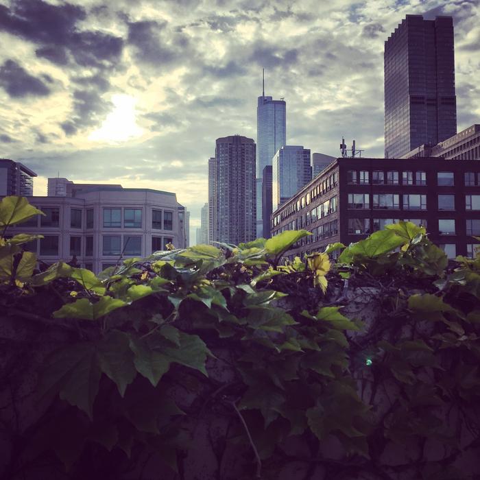 city in the sunlight landscape