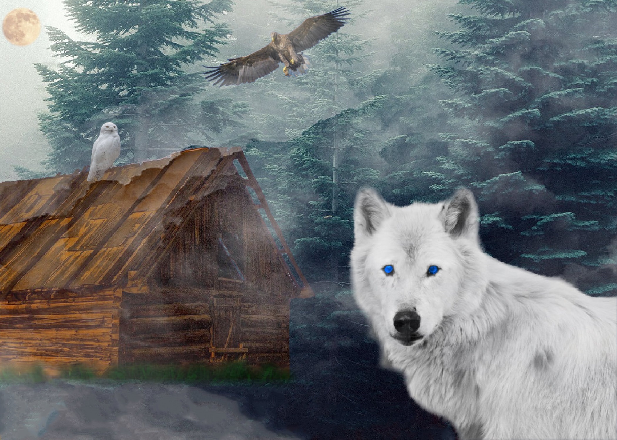 Изба в лесу волки