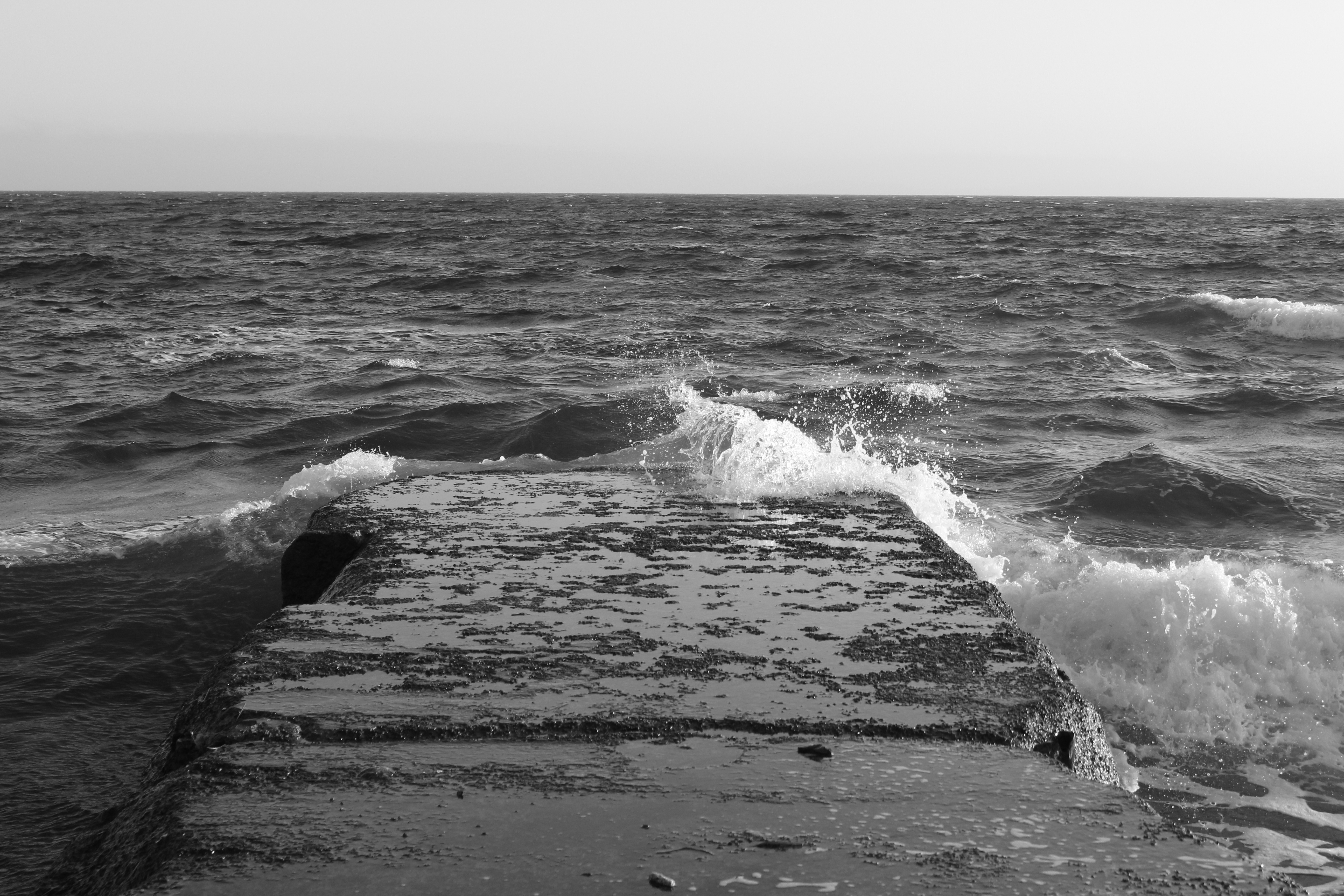 Море черно белое фото