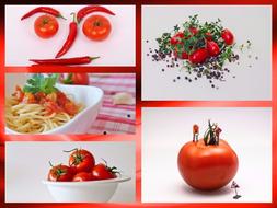 collage of juicy tomatoes