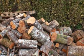 Lena Winter Cut Firewood