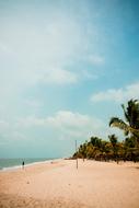 Beach Palm Boats