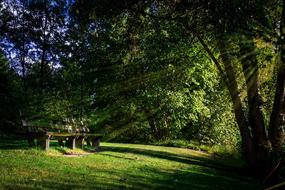 Bank Nature