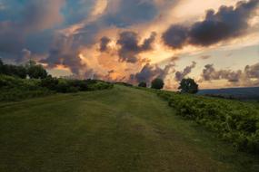 sunset by the meadow