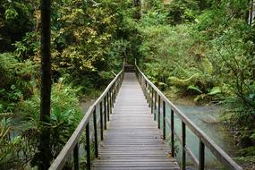 Singapore Bridge Hike