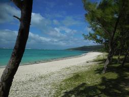 Beach Indian Ocean