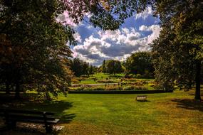 Nature Landscape Meadow