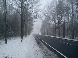 snowy forest road