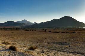 desert with mountains in the background