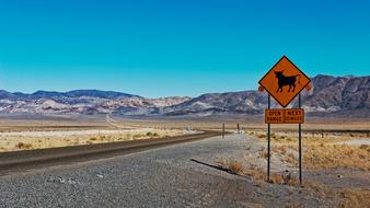 Landscape with the animal sign near the road and mountains, in Nevada, USA, under the blue sky