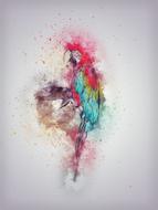 Parrot Bird Feathering