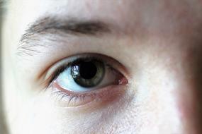 Eye Iris face