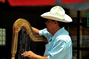 Musician Harp