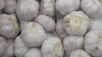 garlic in a mesh bag