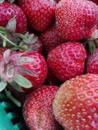 red ripe strawberry fruit